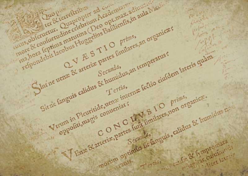 L’arte della connessione